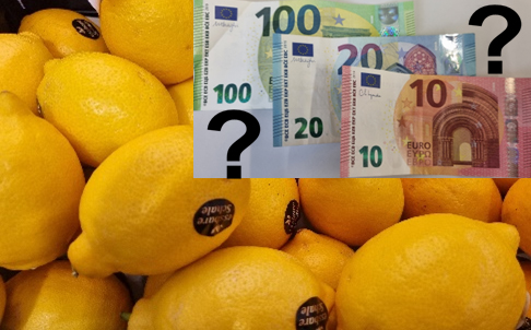 Wie bessere ich mein Taschengeld mit Zitronen auf? (c) Rebecca Preller